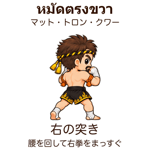 右の突き。腰を回して右拳をまっすぐ